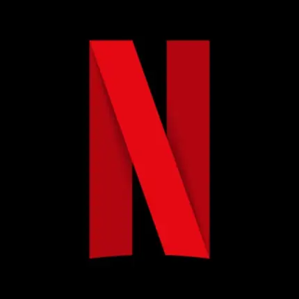 Netflix - 3 Months